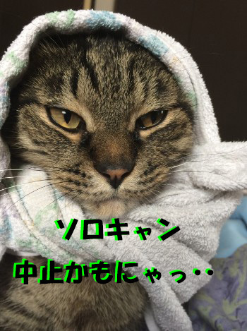 ソロキャンプ出発 までの心配事 ソロキャンプ出発 までの心配事