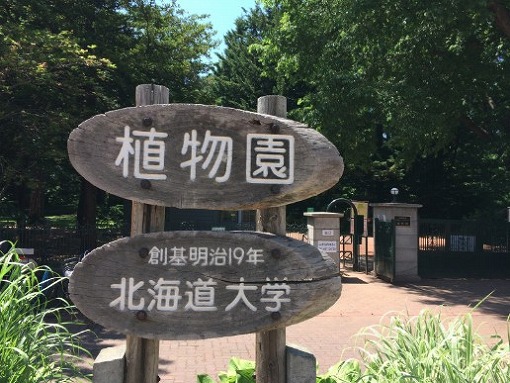 ブナロス&ソロキャンロス ブナロス&ソロキャンロス