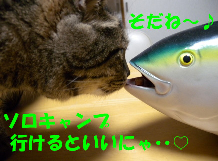 すみません 追記です・・。 すみません 追記です・・。