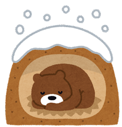 今年最後のソロキャンプがぁ~ 今年最後のソロキャンプがぁ~