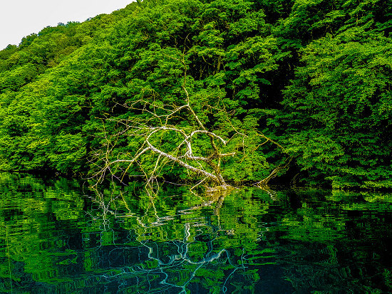 towada18008 towada18008