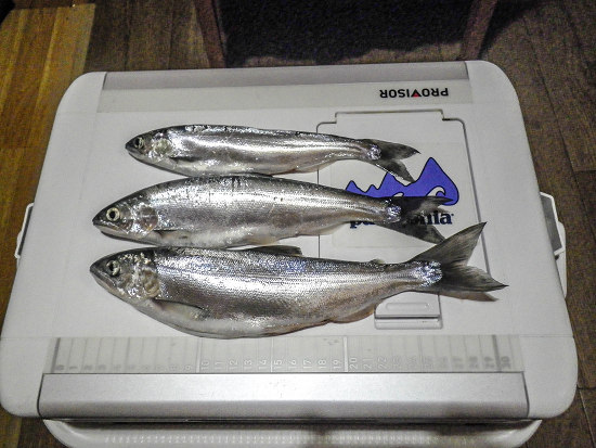 towada18016 towada18016