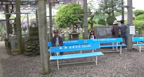 玉名市の山田日吉神社の県指定天然記念物「山田の藤」 玉名市の山田日吉神社の県指定天然記念物「山田の藤」
