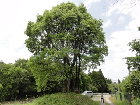 熊延鉄道の遺跡(八角トンネル)二俣橋(ふたまたばし)佐俣(さまた)の湯 に行って来た 熊延鉄道の遺跡(八角トンネル)二俣橋(ふたまたばし)佐俣(さまた)の湯 に行って来た