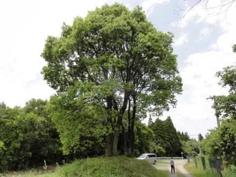 熊延鉄道の遺跡（八角トンネル）二俣橋（ふたまたばし）佐俣（さまた）の湯 に行って来た