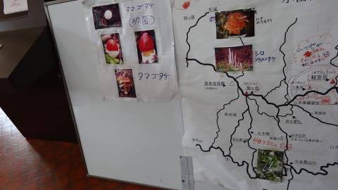 熊本の、とある穴場のキャンプ場1 管理棟編 熊本の、とある穴場のキャンプ場1 管理棟編