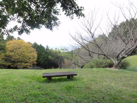 みずほの森公園キャンプ場を見学 みずほの森公園キャンプ場を見学