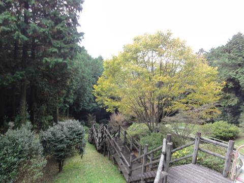 みずほの森公園キャンプ場を見学 みずほの森公園キャンプ場を見学