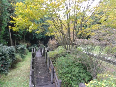 みずほの森公園キャンプ場を見学 みずほの森公園キャンプ場を見学