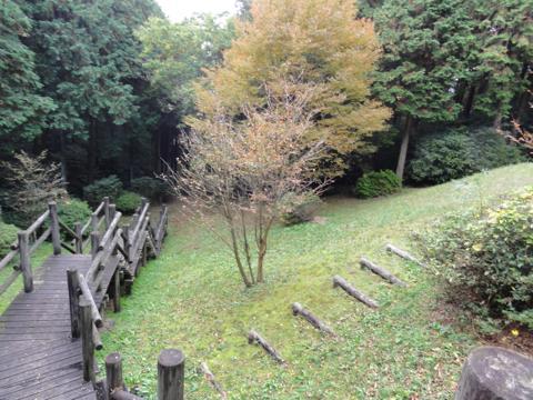 みずほの森公園キャンプ場を見学 みずほの森公園キャンプ場を見学