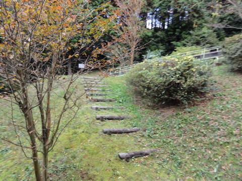 みずほの森公園キャンプ場を見学 みずほの森公園キャンプ場を見学