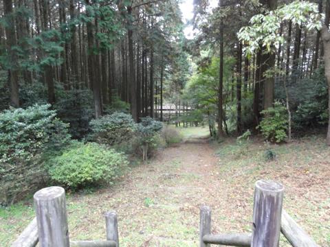 みずほの森公園キャンプ場を見学 みずほの森公園キャンプ場を見学