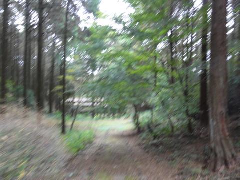 みずほの森公園キャンプ場を見学 みずほの森公園キャンプ場を見学