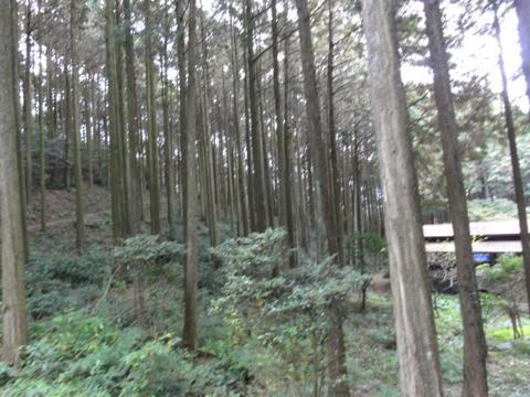 みずほの森公園キャンプ場を見学 みずほの森公園キャンプ場を見学