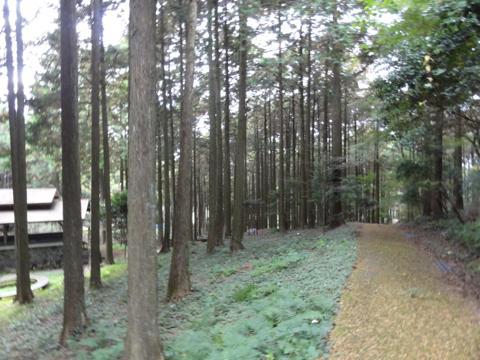 みずほの森公園キャンプ場を見学 みずほの森公園キャンプ場を見学