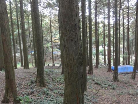 みずほの森公園キャンプ場を見学 みずほの森公園キャンプ場を見学