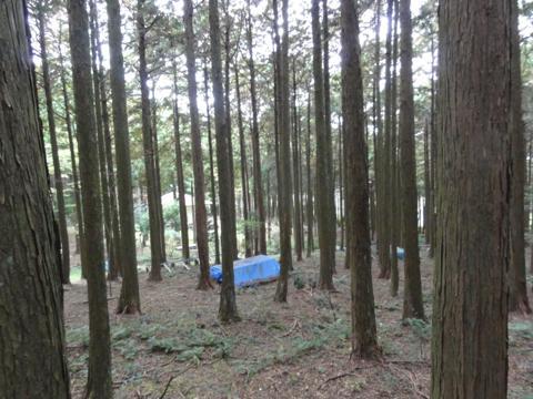 みずほの森公園キャンプ場を見学 みずほの森公園キャンプ場を見学