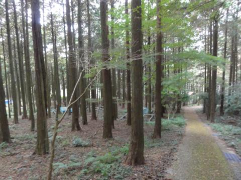 みずほの森公園キャンプ場を見学 みずほの森公園キャンプ場を見学