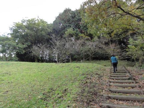 みずほの森公園キャンプ場を見学 みずほの森公園キャンプ場を見学