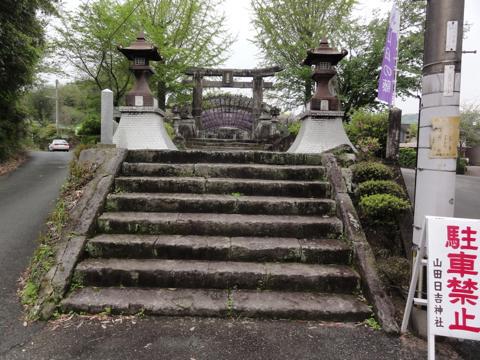 玉名市の山田日吉神社の県指定天然記念物「山田の藤」 玉名市の山田日吉神社の県指定天然記念物「山田の藤」