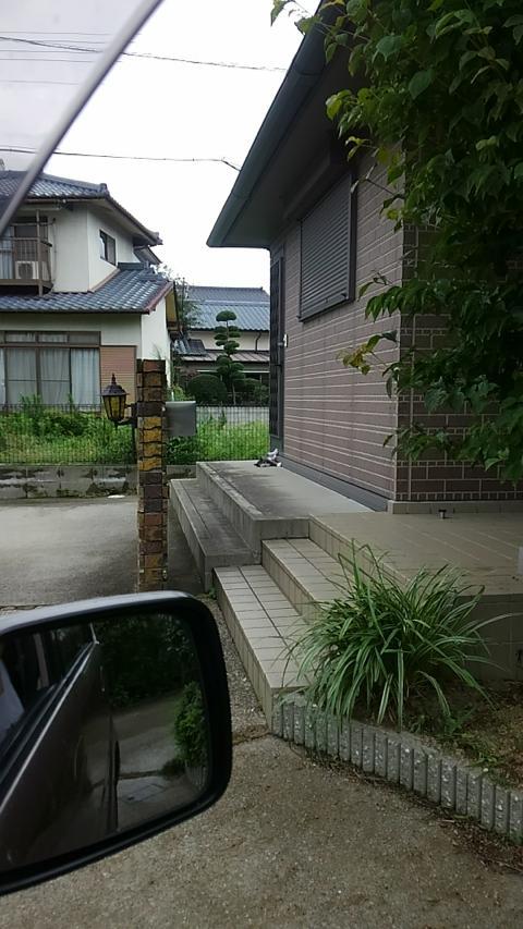 横着者のご近所さん 横着者のご近所さん