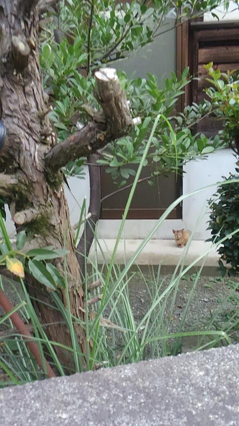 横着者のご近所さん 横着者のご近所さん