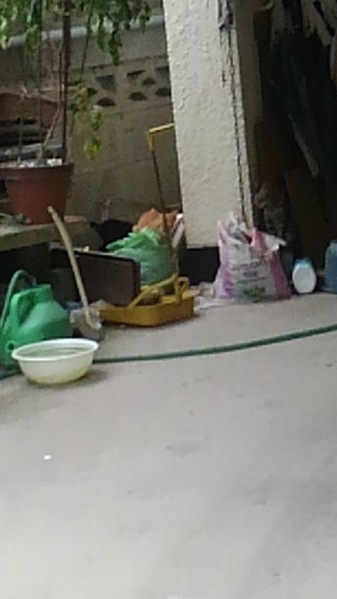 横着者のご近所さん 横着者のご近所さん