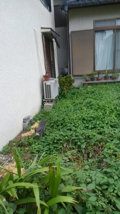 横着者のご近所さん 横着者のご近所さん