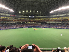 ナゴヤドーム 今シーズン2戦目 中日vs阪神