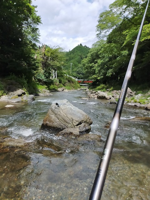 名栗川へGO! 鮎友釣り 名栗川へGO! 鮎友釣り