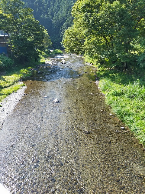 名栗川へGO! 鮎釣り 名栗川へGO! 鮎釣り