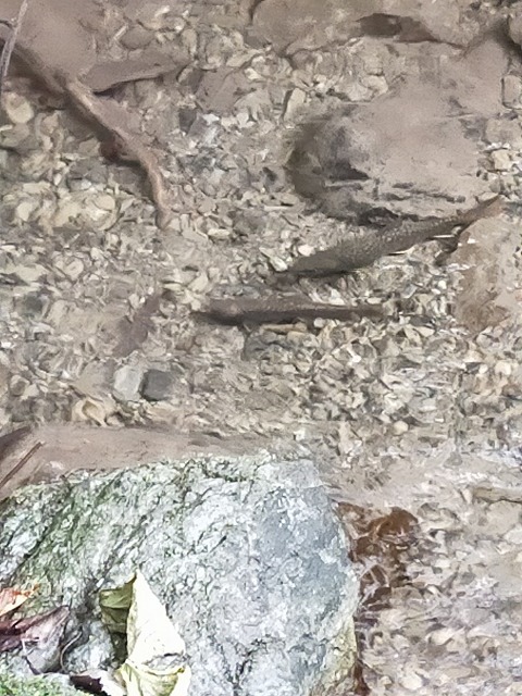 棒ノ嶺へGO! 棒ノ嶺へGO!