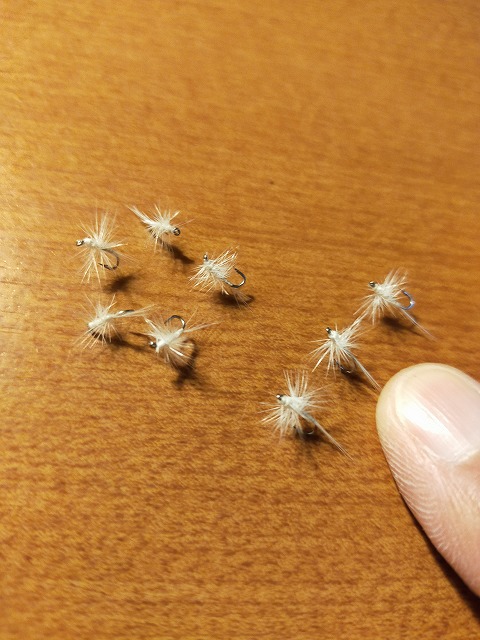 柳瀬川へGO! オイカワ 柳瀬川へGO! オイカワ