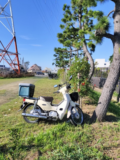 江戸川放水路へGO! ハゼ釣り 江戸川放水路へGO! ハゼ釣り