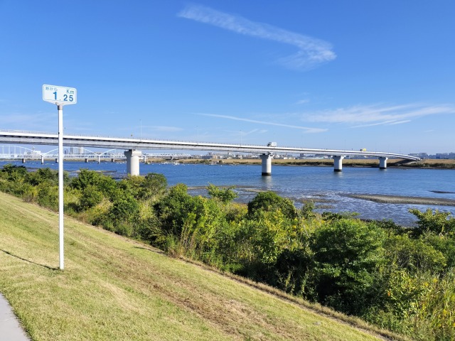 江戸川放水路へGO! ハゼ釣り 江戸川放水路へGO! ハゼ釣り