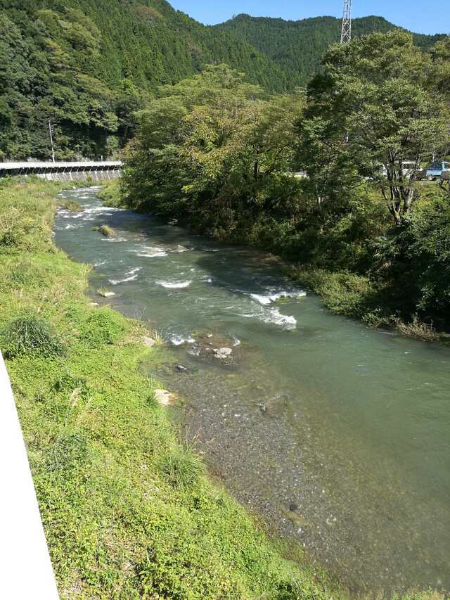 名栗川へ GO! ヤマメ 名栗川へ GO! ヤマメ