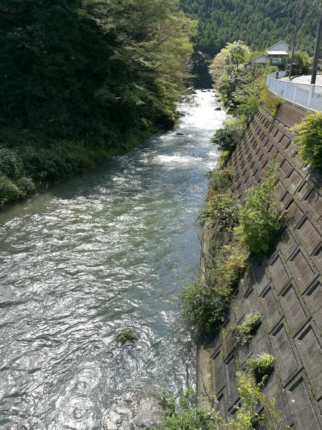 名栗川へ GO! ヤマメ 名栗川へ GO! ヤマメ