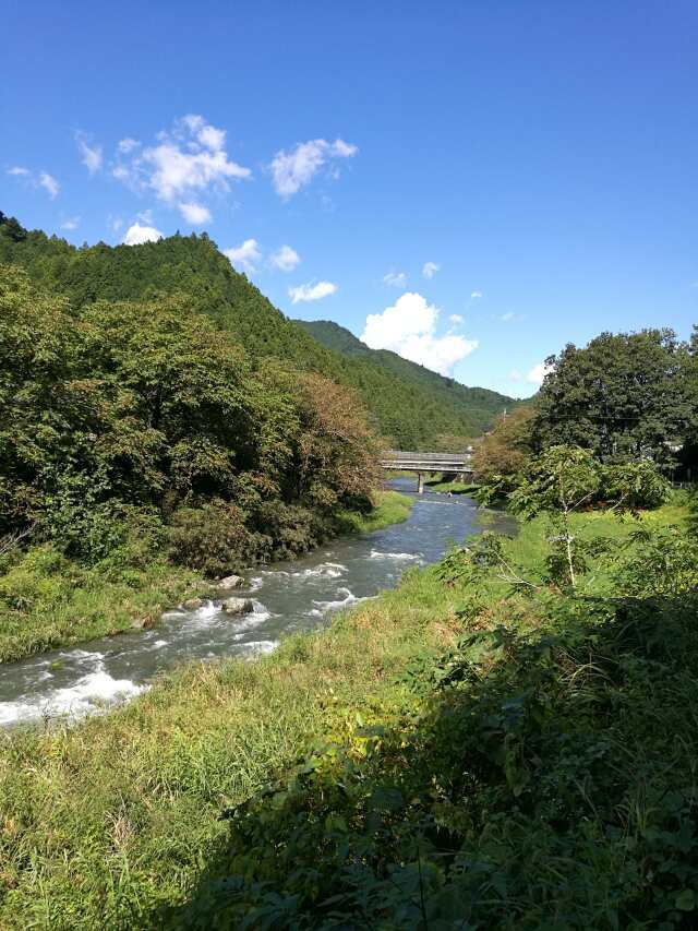 名栗川へ GO! ヤマメ 名栗川へ GO! ヤマメ