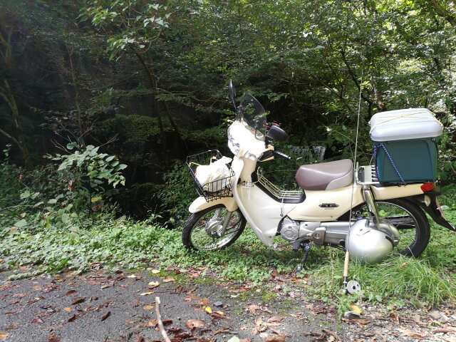 名栗川へ GO! ヤマメ 名栗川へ GO! ヤマメ