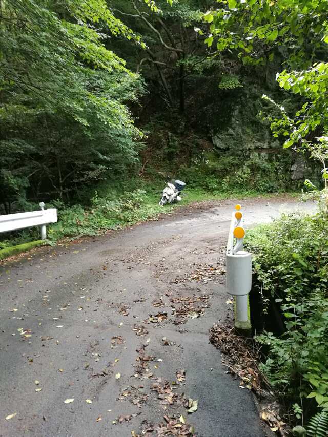 名栗川へ GO! ヤマメ 名栗川へ GO! ヤマメ