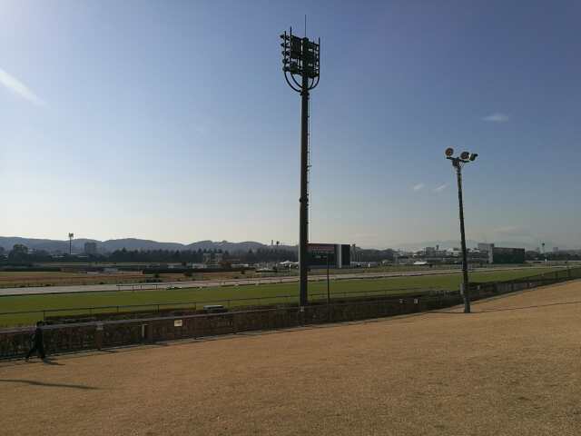 電車でGO!東京競馬場 12月16日 電車でGO!東京競馬場 12月16日
