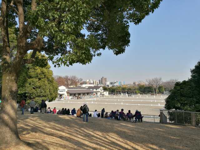 電車でGO!東京競馬場 12月16日 電車でGO!東京競馬場 12月16日