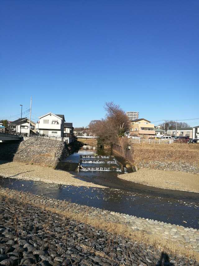 柳瀬川へGO! 初釣り 鯉フライ 柳瀬川へGO! 初釣り 鯉フライ