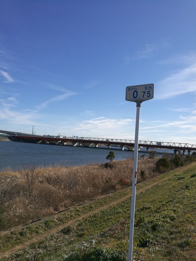 カブで江戸川へGO! カブで江戸川へGO!