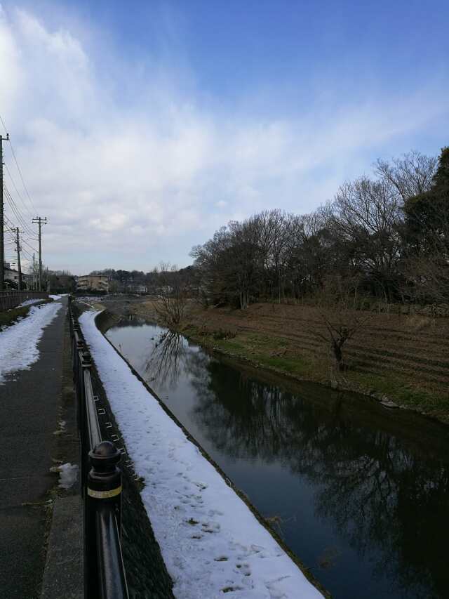 柳瀬川へGO! カブで鯉釣り 柳瀬川へGO! カブで鯉釣り