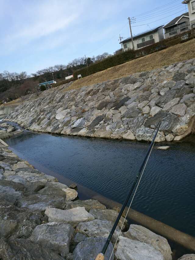 柳瀬川へGO! カブで鯉釣り 柳瀬川へGO! カブで鯉釣り