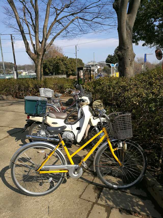 柳瀬川へGO! カブで鯉釣り 柳瀬川へGO! カブで鯉釣り