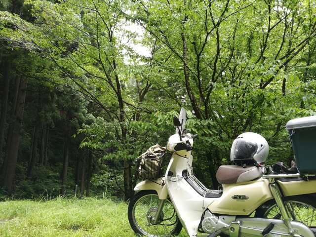 名栗川へGO! 岩魚! 名栗川へGO! 岩魚!