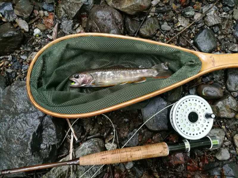 名栗川へGO! 岩魚! 名栗川へGO! 岩魚!