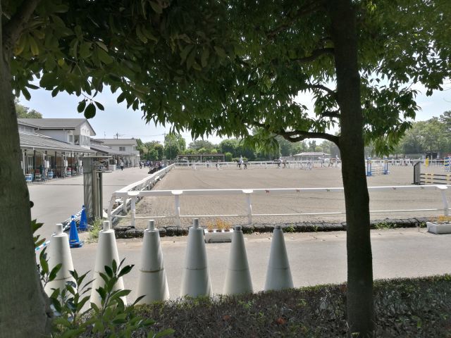 本日は いつもの鉄馬(カブ)ではなくて? 本日は いつもの鉄馬(カブ)ではなくて?